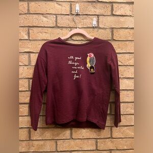 Zara Kids Maroon Sweatshirt